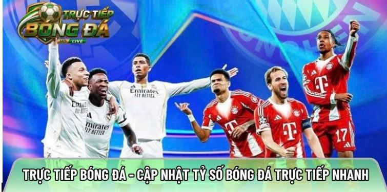 Tructiepbongda.fyi – Kênh xem trực tiếp bóng đá đáng trải nghiệm 2026