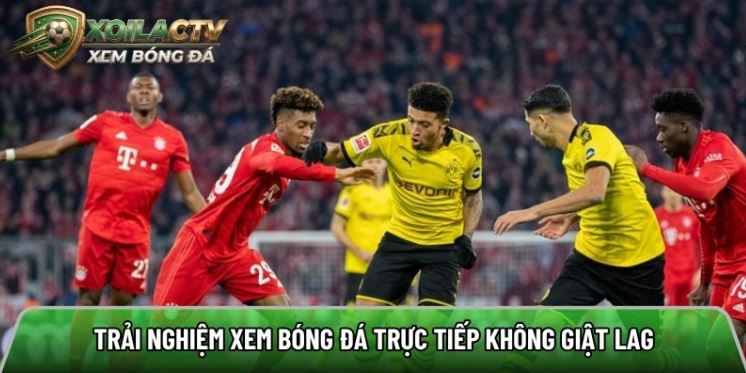 Lytuong.net: Trải nghiệm xem bóng đá trực tiếp không giật lag